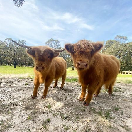 Cockatoo Cottages エクステリア 写真