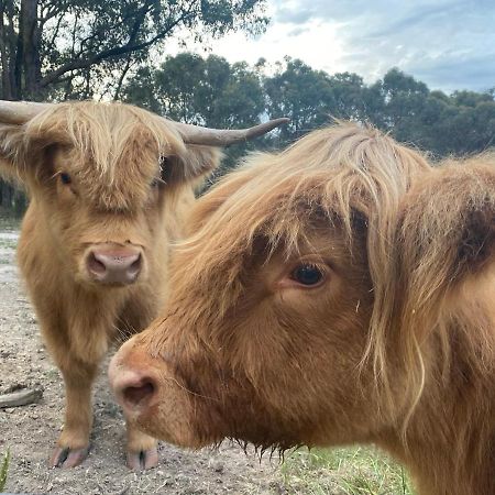 Cockatoo Cottages エクステリア 写真