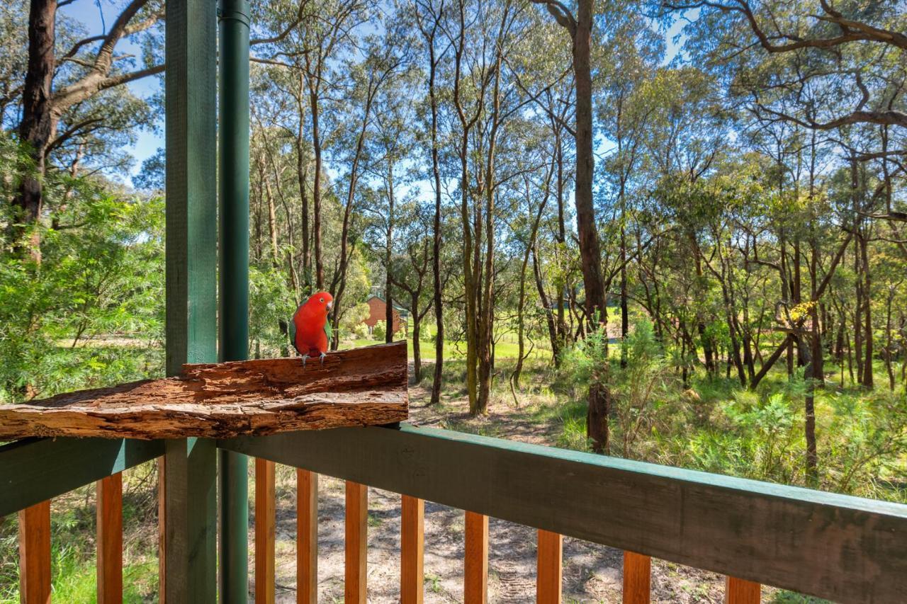 Cockatoo Cottages エクステリア 写真